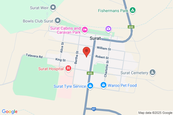 Surat State School