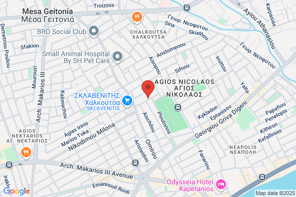A N Loizou & Associates