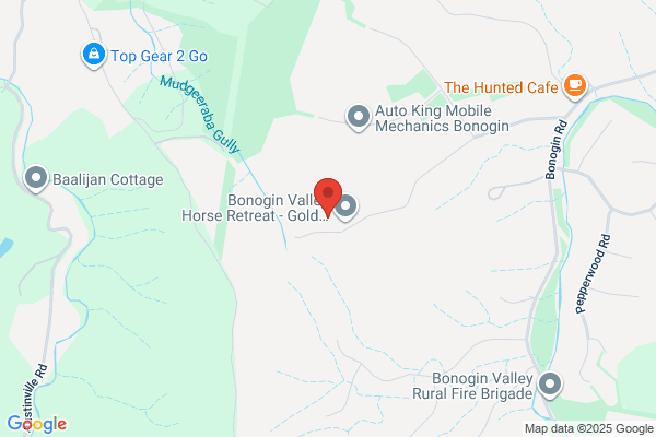 Horse Riding Hub