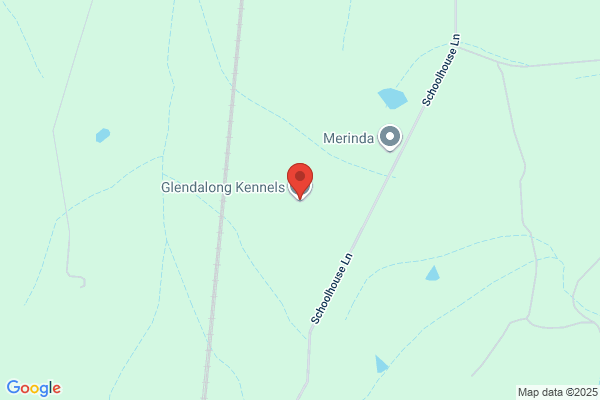 Glendalong Kennels
