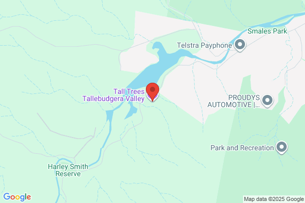 Asley Steve