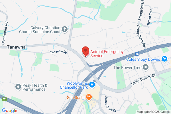 Chancellor Park Veterinary Surgery