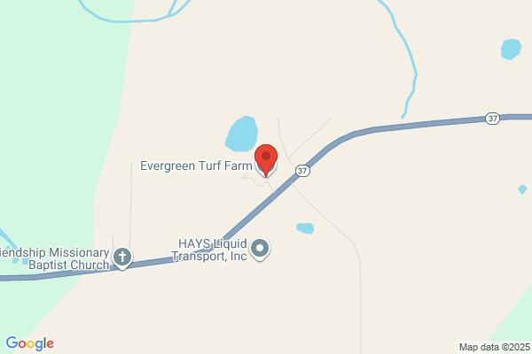 Evergreen Turf Farm