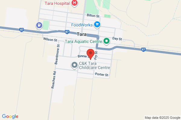 Tara Shire State College