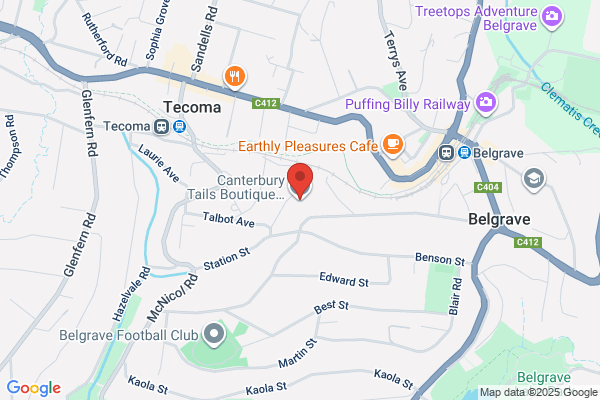 Canterbury Tails Boutique Boarding Cattery