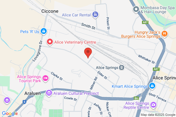 Alice Springs Diesel Repairs