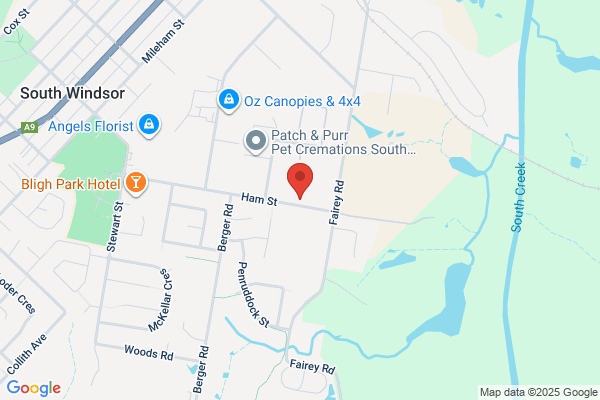 Bligh Park Brake & Clutch