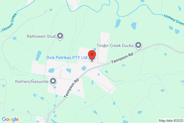 Dick Petrikas Chainsaws Pty Ltd