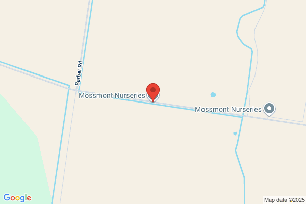 Discount Nursery