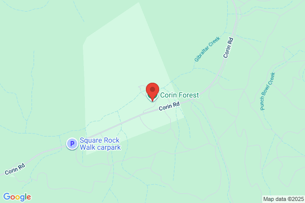 Corin Forest