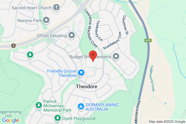 Theodore School Connection
