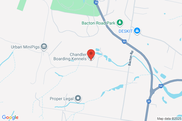 Chandler Boarding Kennels
