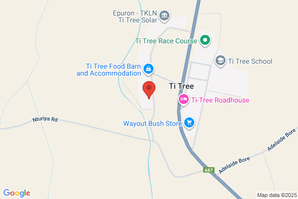 Alice Springs Town Council