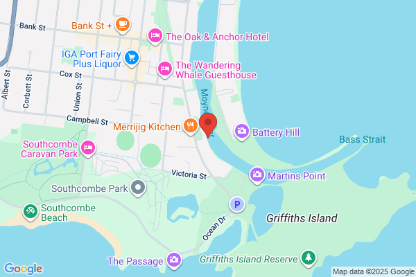 Southern Coast Charters