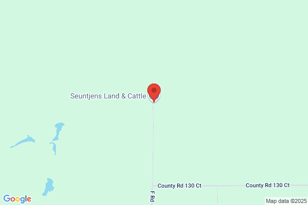 Bluff Cattle Trust The