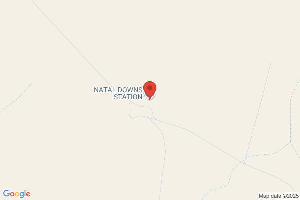 Bluff Downs Station