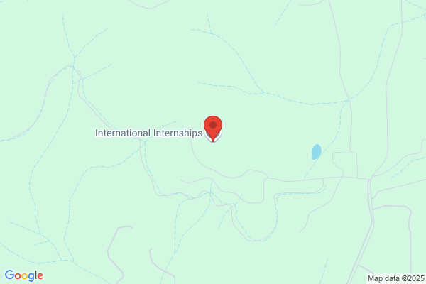 Indonesian Internship