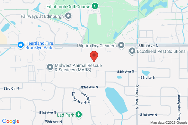 5 Starr Plumbing & Excavation Services