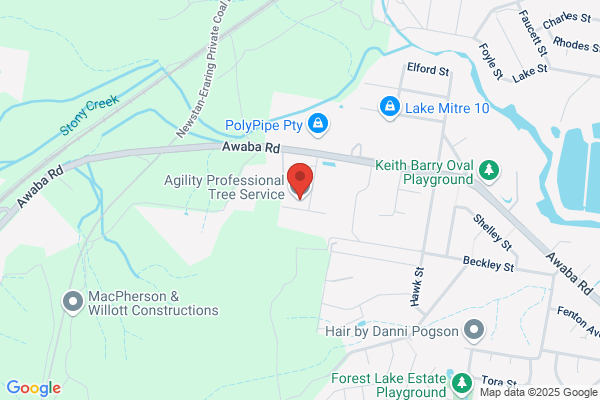 Agility Professional Tree Service Pty Ltd