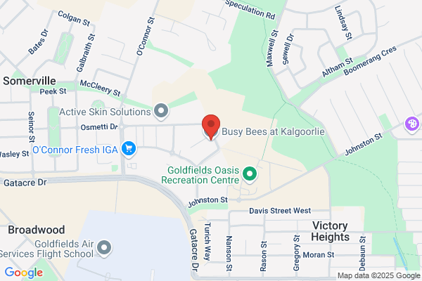 Busy Bees at Kalgoorlie