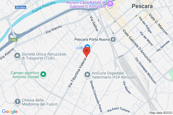 Centro Newton