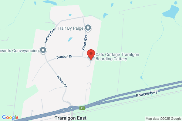 Cats Cottage Traralgon
