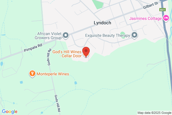 God's Hill Vineyard