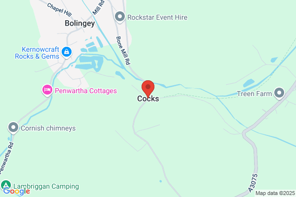 Cocks M T & A B