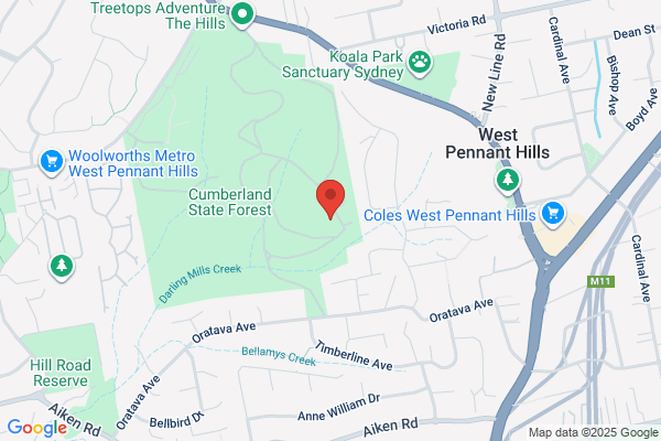 Forestry Corporation of NSW