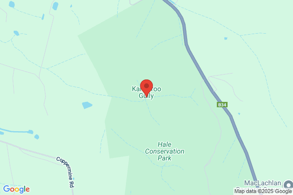 Kangaroo Gully