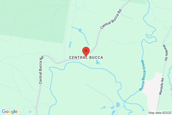 Bucca Palms
