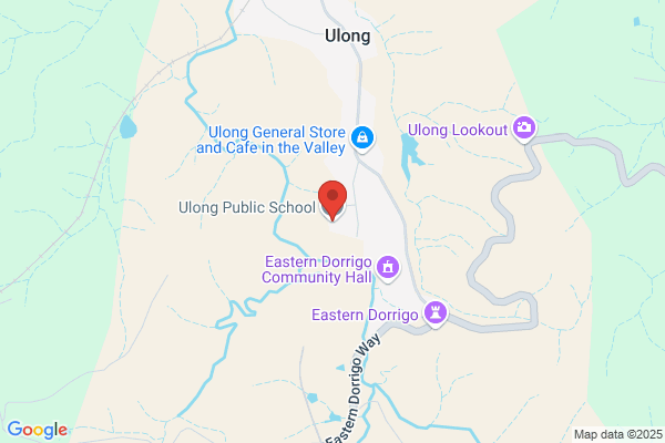 Ulong Public School