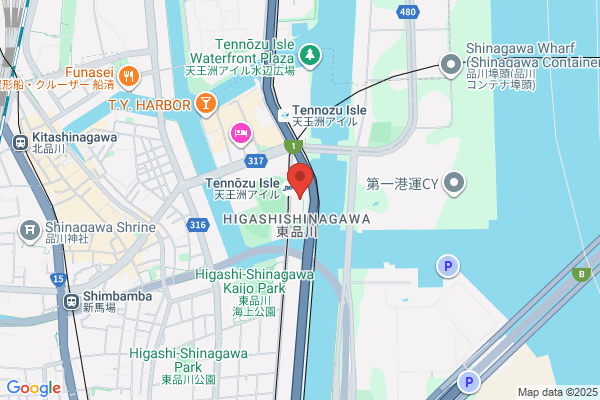Japan Airlines International Co Ltd