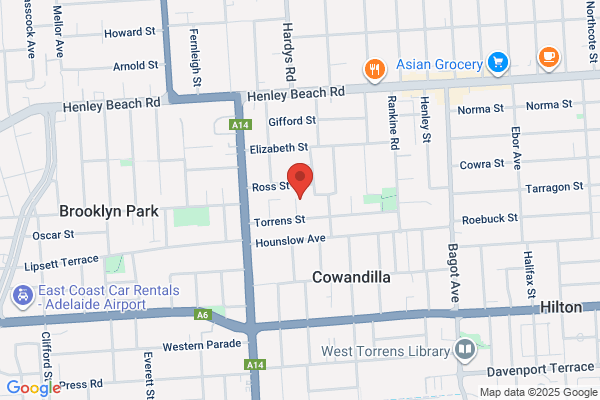 Condo & Son Pty Ltd