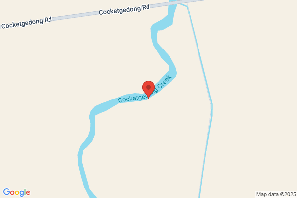 Cocketgedong Pty Ltd