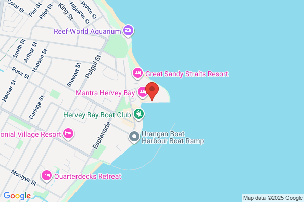 Hervey Bay Whale Watch