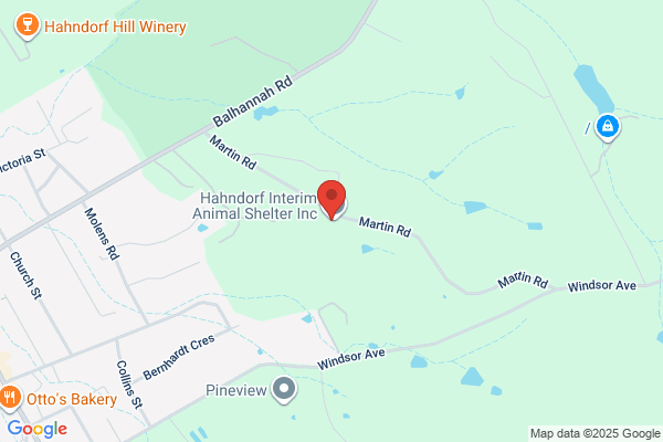 Hahndorf Interim Animal Shelter Inc.