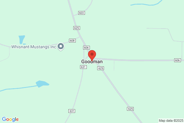 Goodman A L