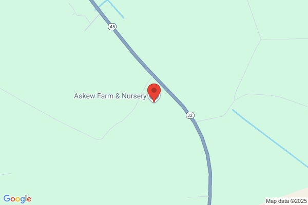 Askew Plants