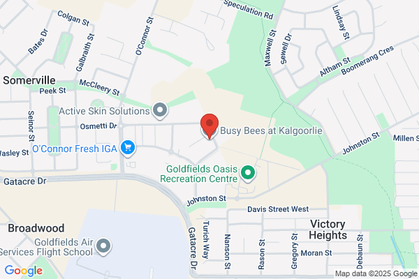 Busy Bees at Kalgoorlie