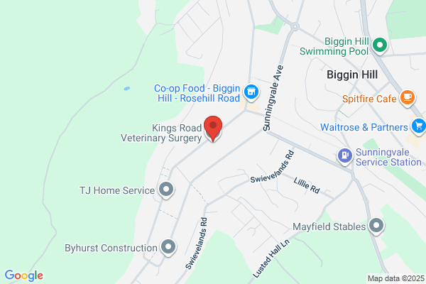 Kings Road Veterinary Surgery