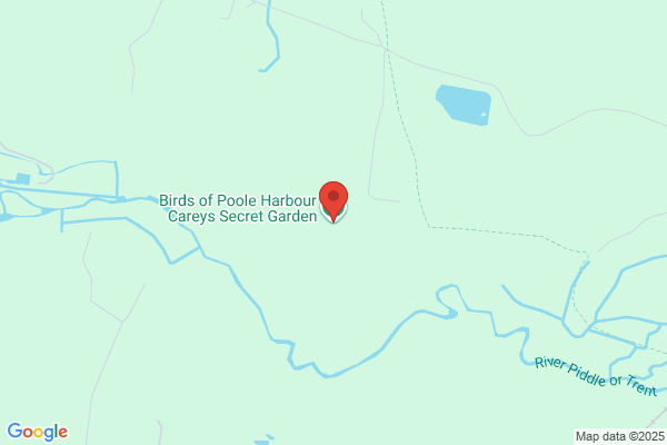 Carey Park Gardens