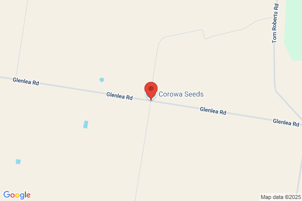 Corowa Seeds