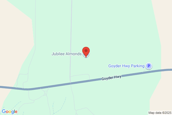 Jubilee Almonds