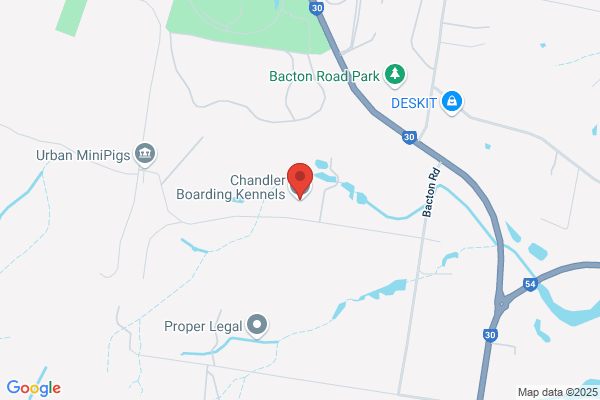Chandler Boarding Kennels
