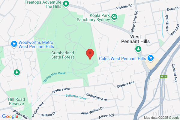Forestry Corporation of NSW