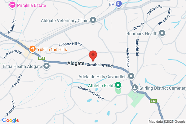Adelaide Tree & Stump Removal