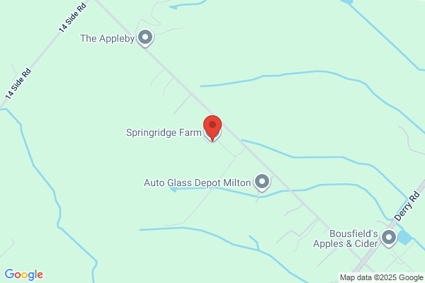 Springridge