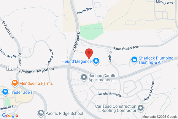 CFD Plumbing Services