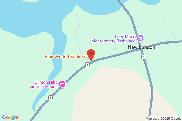 Blue Hibiscus Tea Rooms